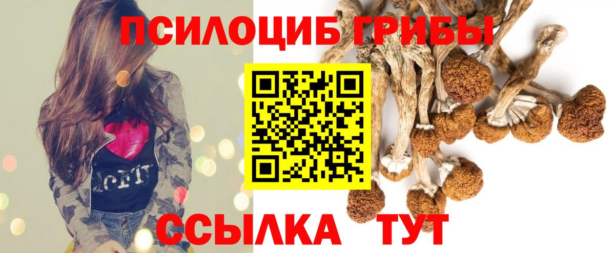 Псилоцибиновые грибы GOLDEN TEACHER  Галлюциногенные грибы MAGIC MUSHROOMS  где найти   Вход с VPN  Волхов 